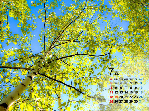 403083 (a): :1600x1200